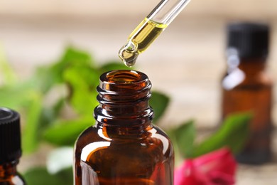 Photo of Essential oil dripping from pipette into bottle against blurred background, closeup