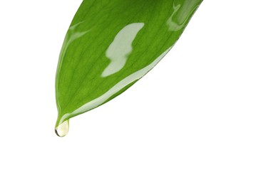 Photo of Essential oil dripping from green leaf against white background