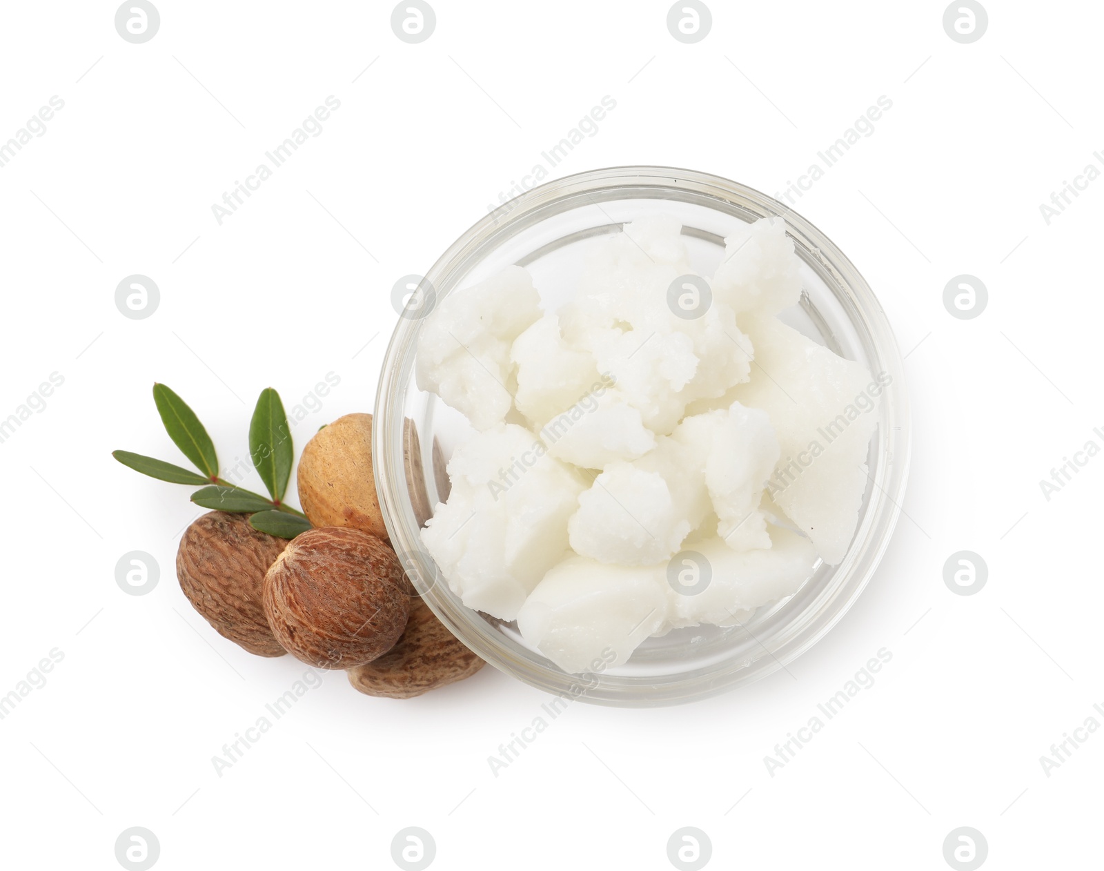 Photo of Shea butter in bowl and nuts isolated on white, top view