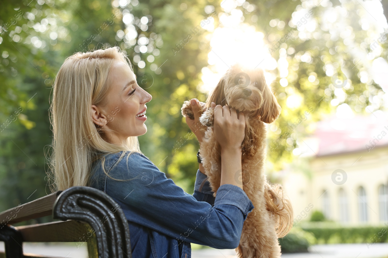 Photo of Beautiful young woman with cute dog on bench in park