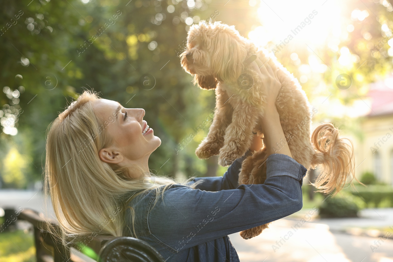 Photo of Beautiful young woman with cute dog on bench in park