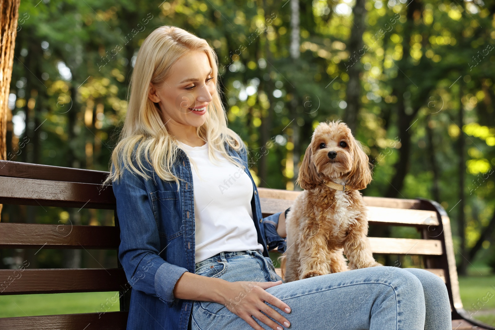 Photo of Beautiful young woman with cute dog on bench in park