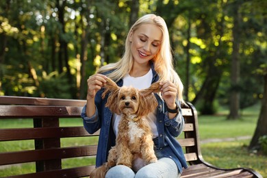 Photo of Beautiful young woman with cute dog on bench in park