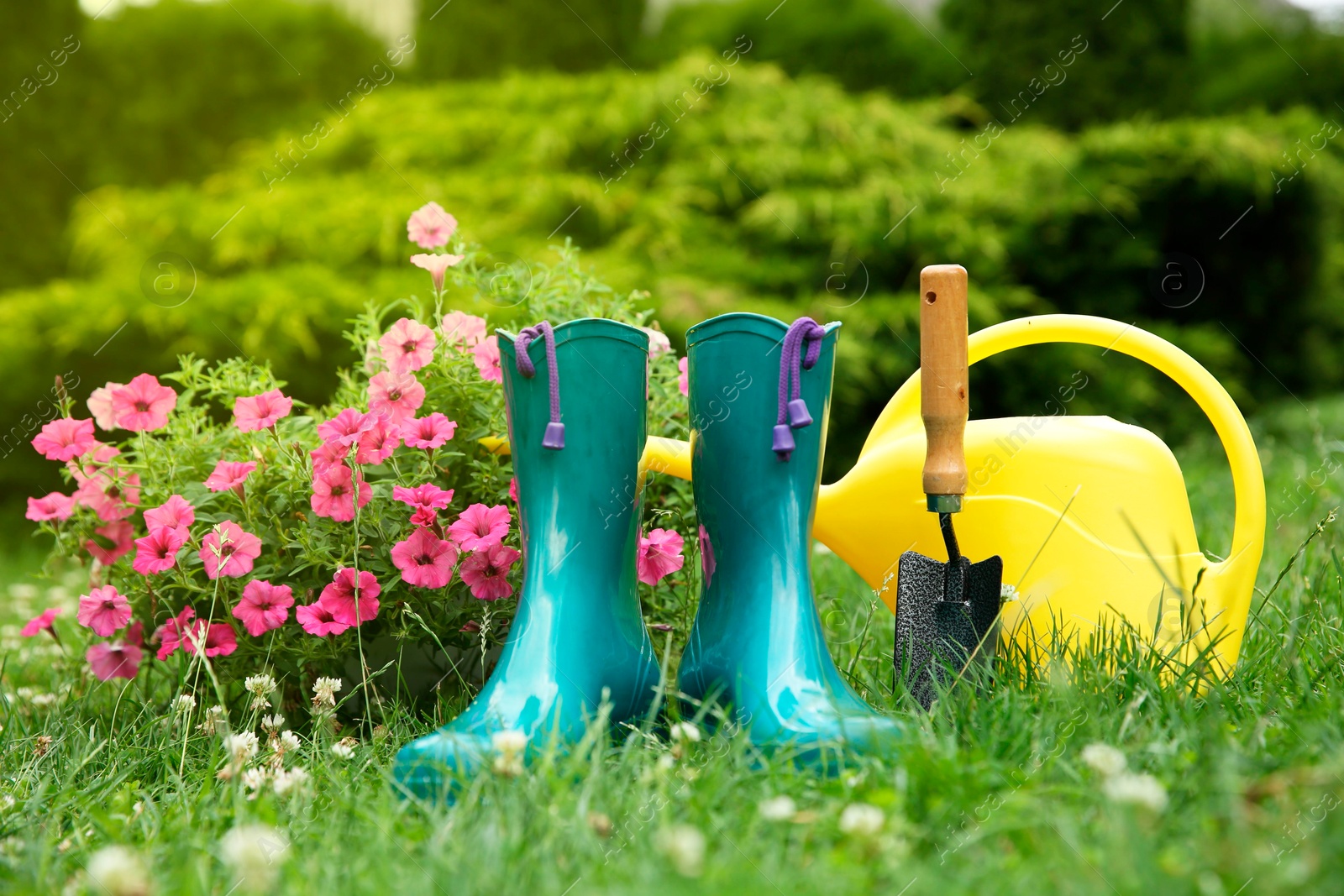 Photo of Rubber boots, gardening tools and petunia flowers on green grass outdoors