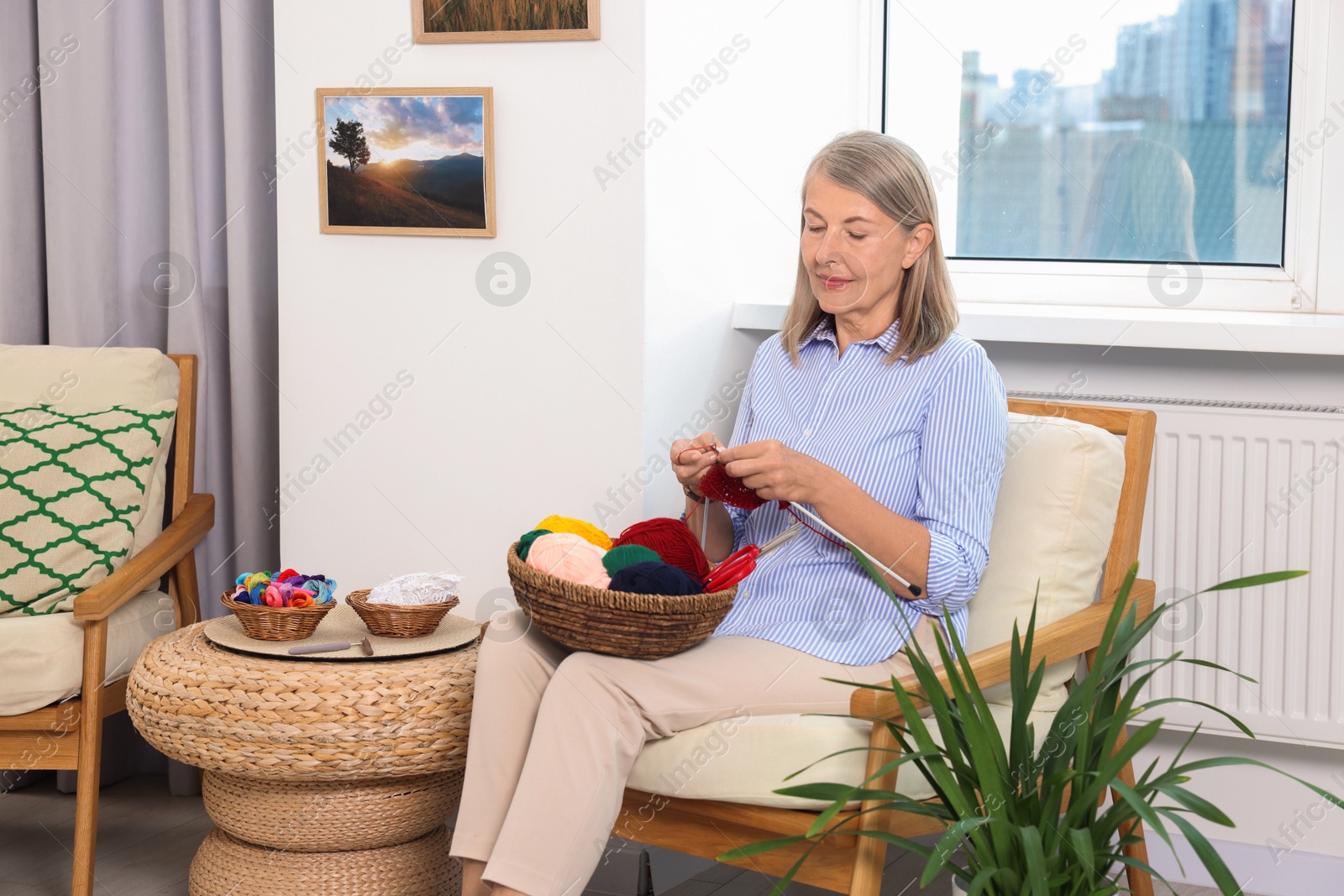 Photo of Beautiful senior woman knitting on armchair at home