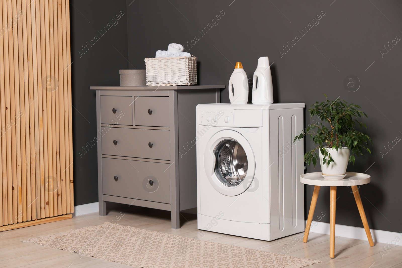 Photo of Washing machine, detergents, chest of drawers and houseplant on table indoors