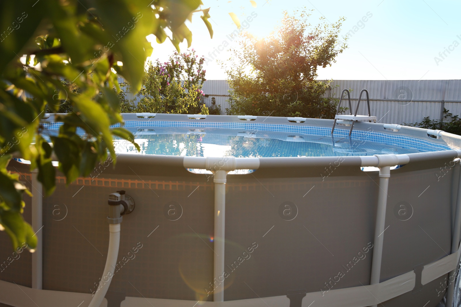 Photo of Above ground swimming pool in garden on sunny day