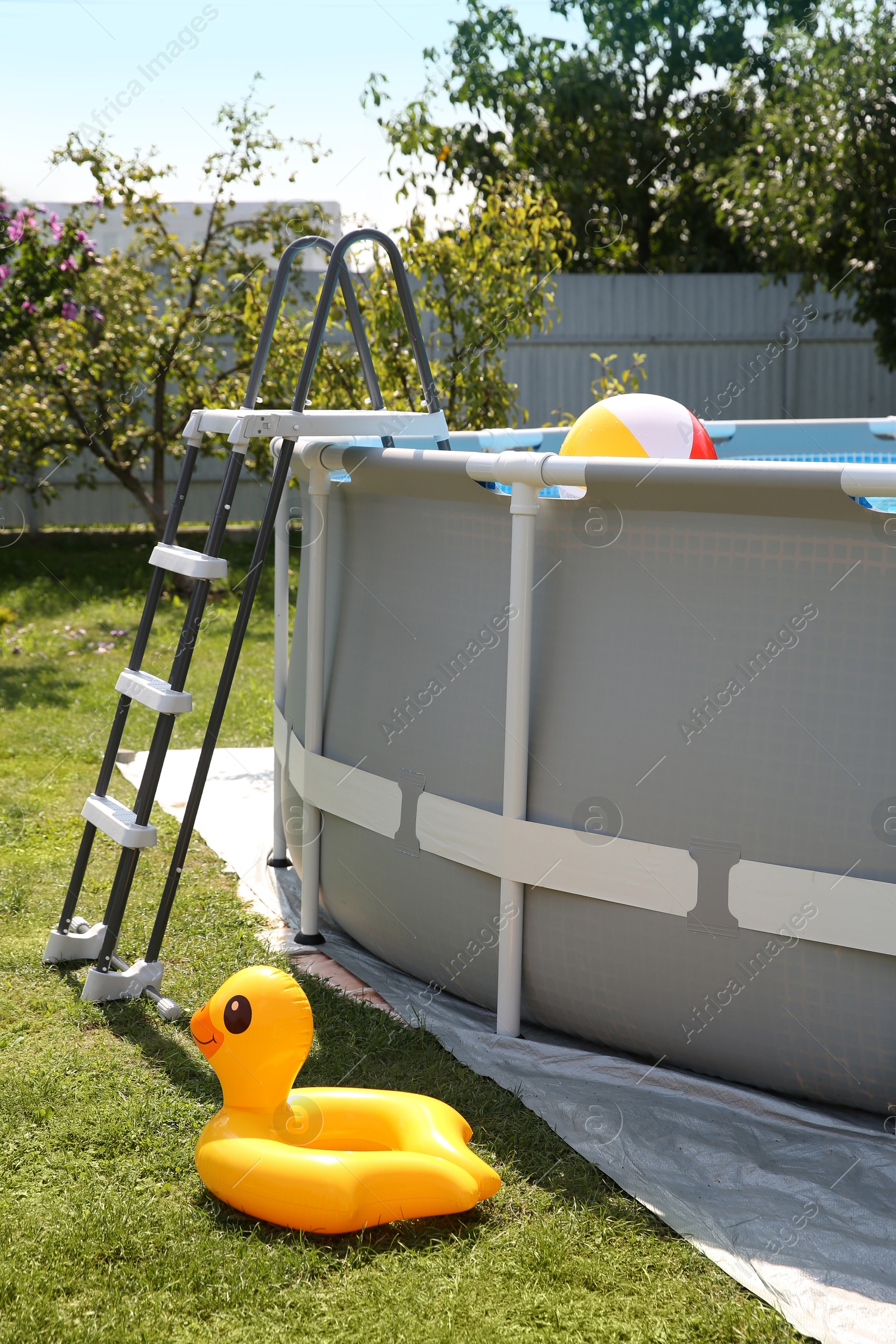 Photo of Above ground swimming pool, inflatable ring and ball outdoors on sunny day