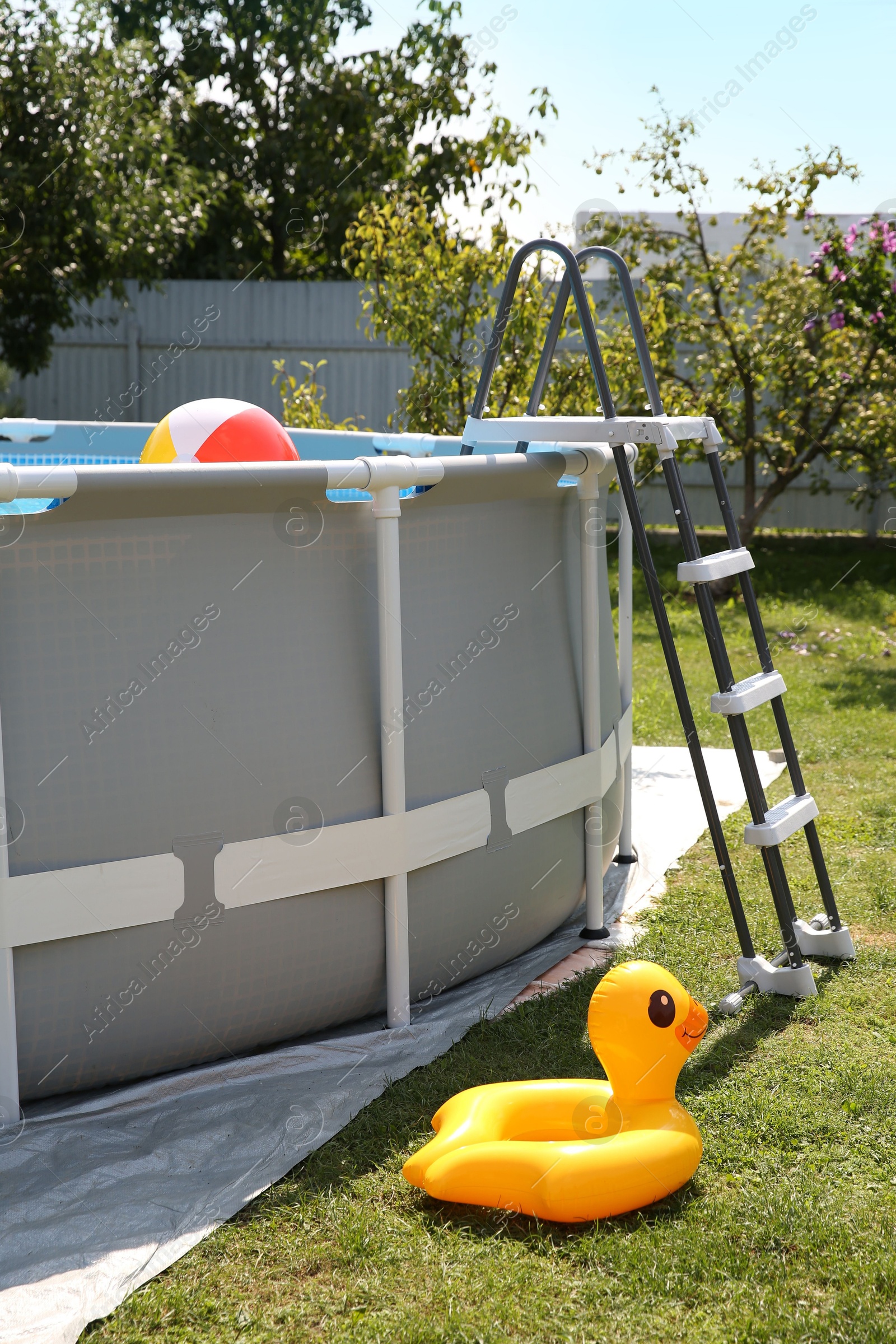 Photo of Above ground swimming pool, inflatable ring and ball outdoors on sunny day