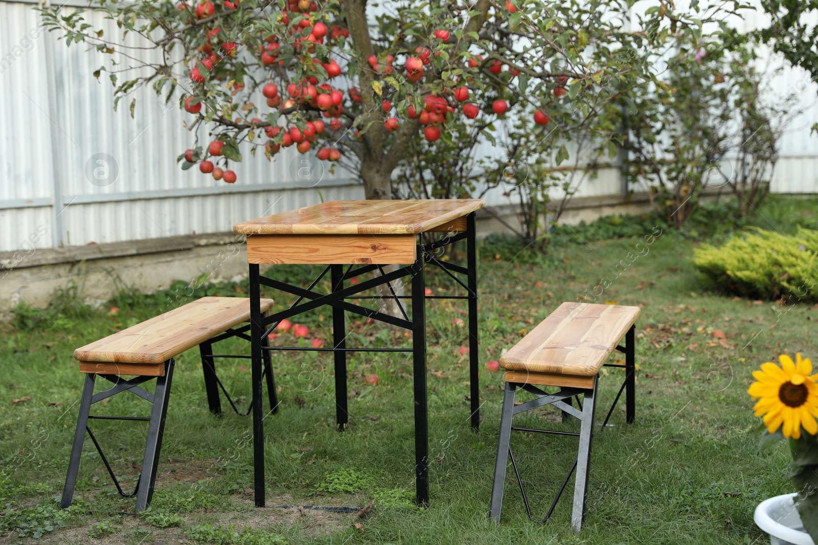 Photo of Wooden table with benches in apple garden