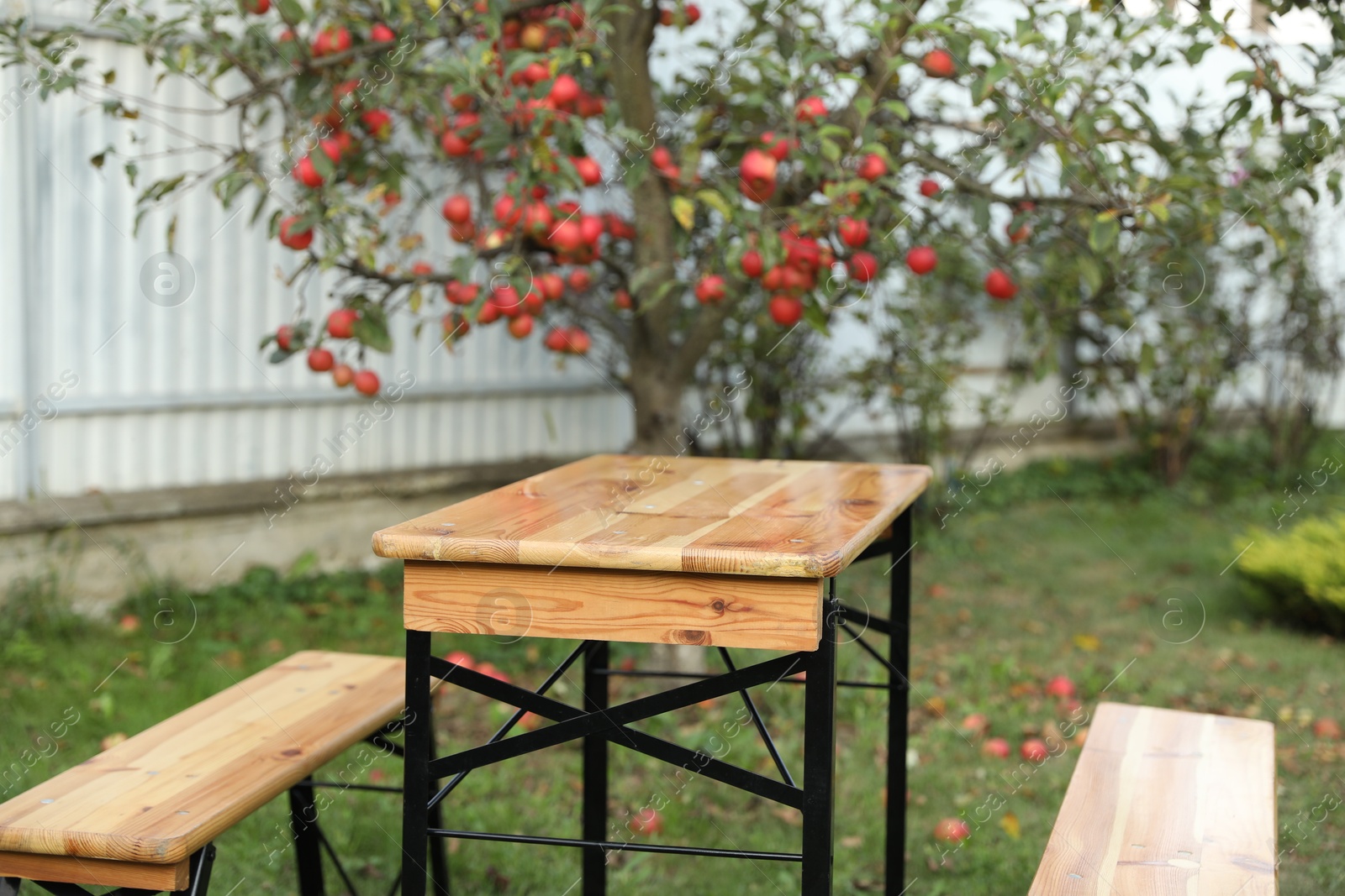 Photo of Wooden table with benches in apple garden