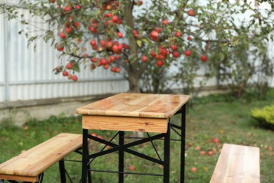 Wooden table with benches in apple garden