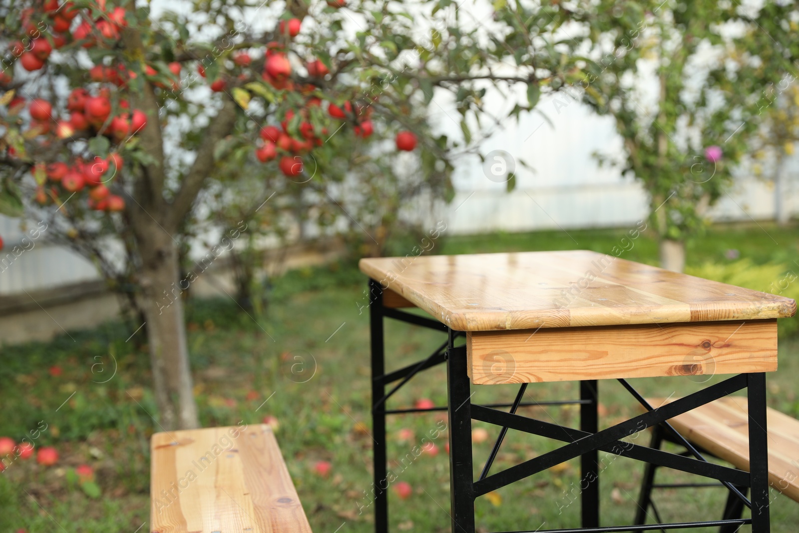 Photo of Wooden table with benches in apple garden