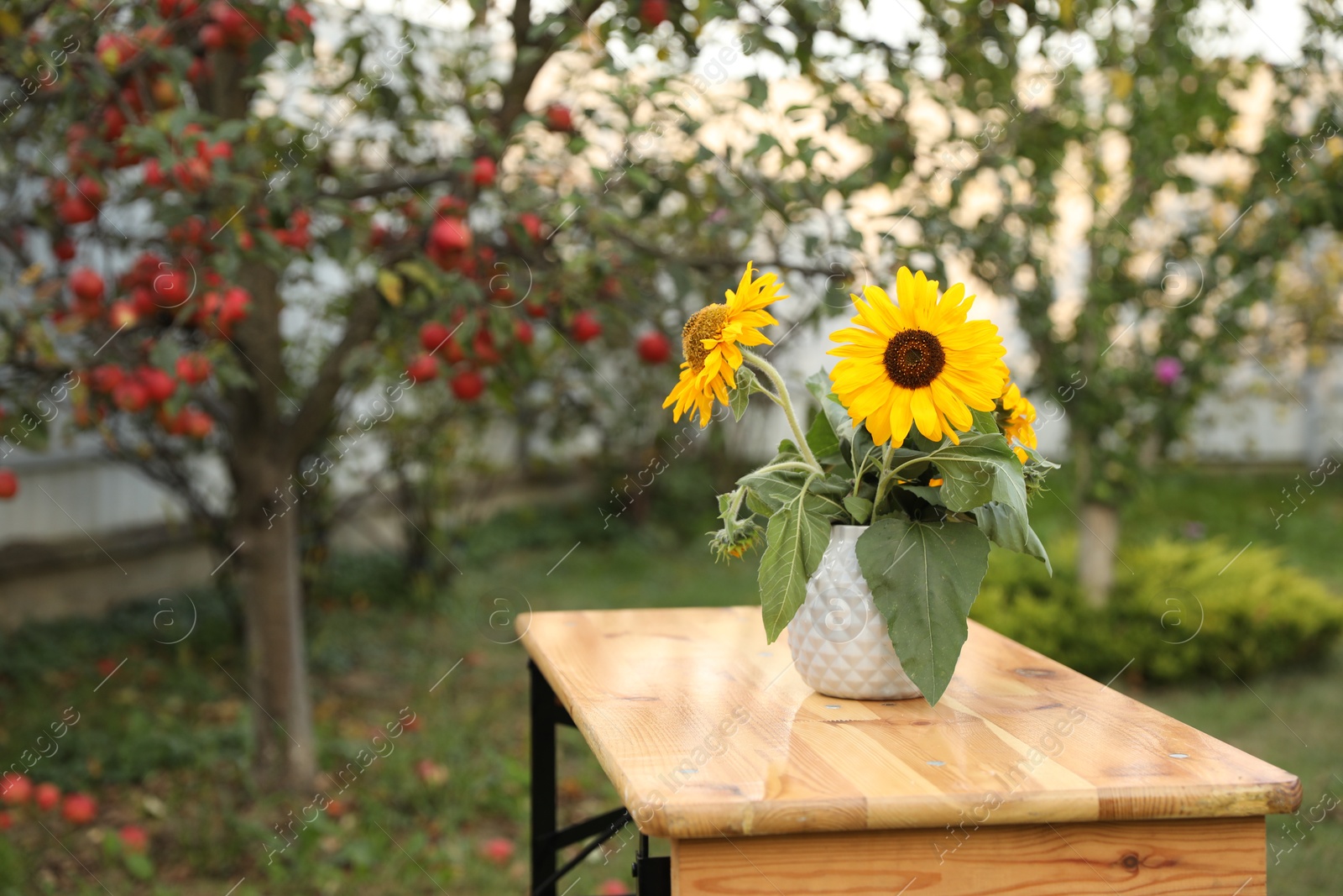 Photo of Vase with sunflowers on wooden table in garden