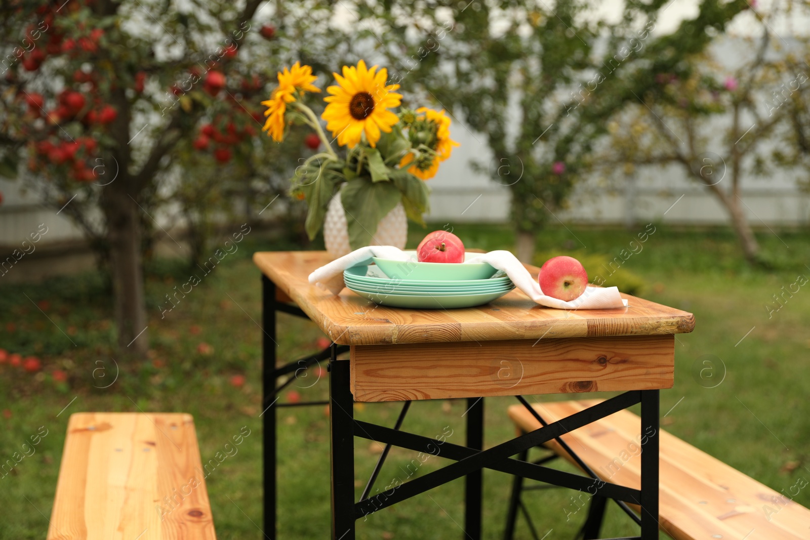 Photo of Apples and vase with sunflowers on wooden table in garden, selective focus