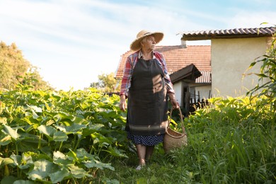 Photo of Senior farmer with wicker basket in garden