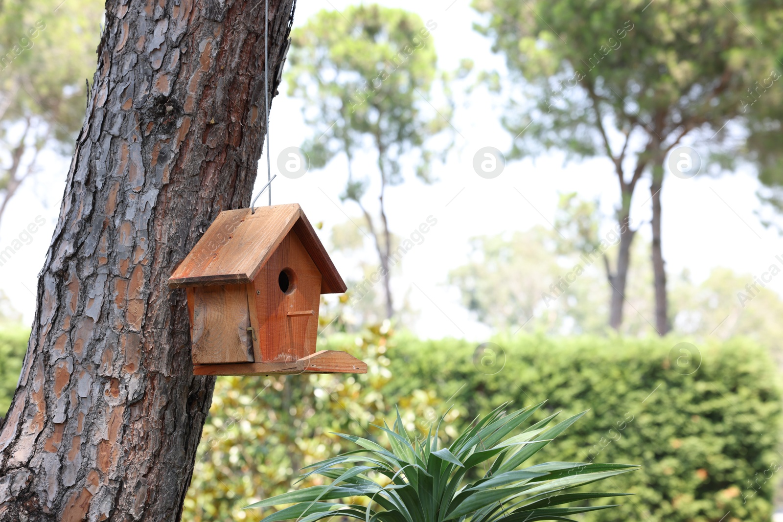 Photo of Beautiful wooden birdhouse hanging on tree trunk in park