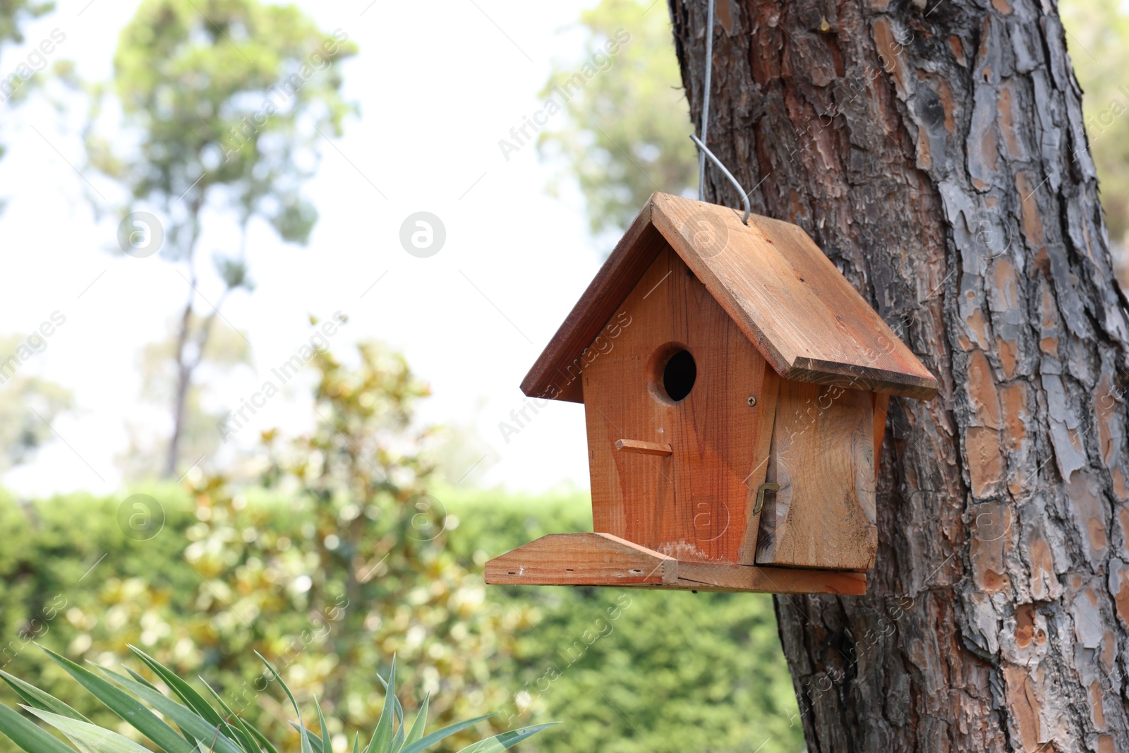 Photo of Beautiful wooden birdhouse hanging on tree trunk in park