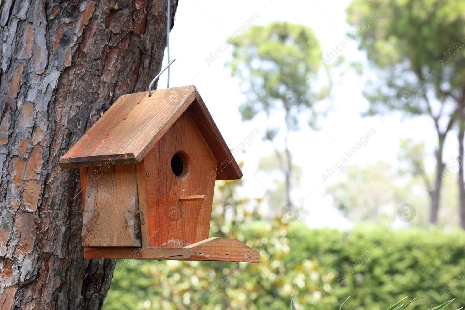 Photo of Beautiful wooden birdhouse hanging on tree trunk in park