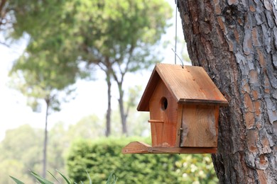 Photo of Beautiful wooden birdhouse hanging on tree trunk in park