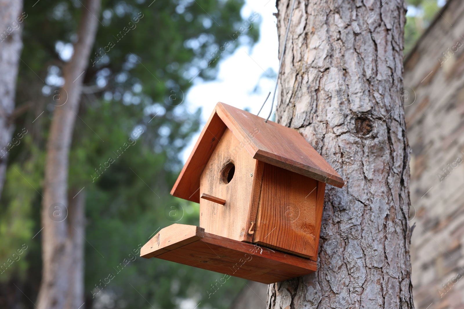 Photo of Beautiful wooden birdhouse hanging on tree trunk in park