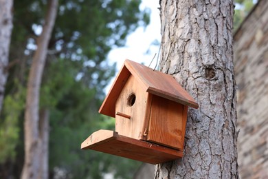 Photo of Beautiful wooden birdhouse hanging on tree trunk in park