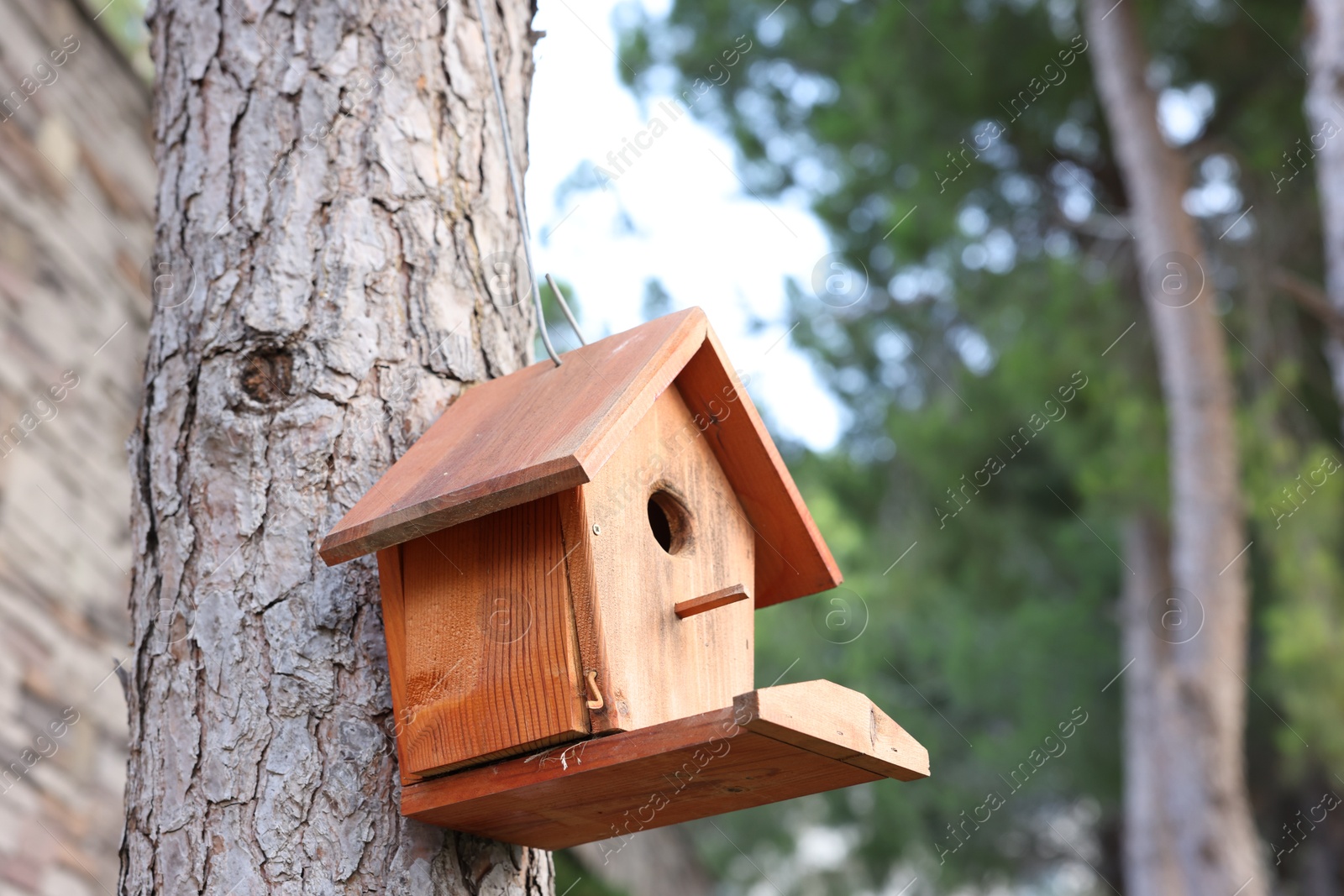 Photo of Beautiful wooden birdhouse hanging on tree trunk in park