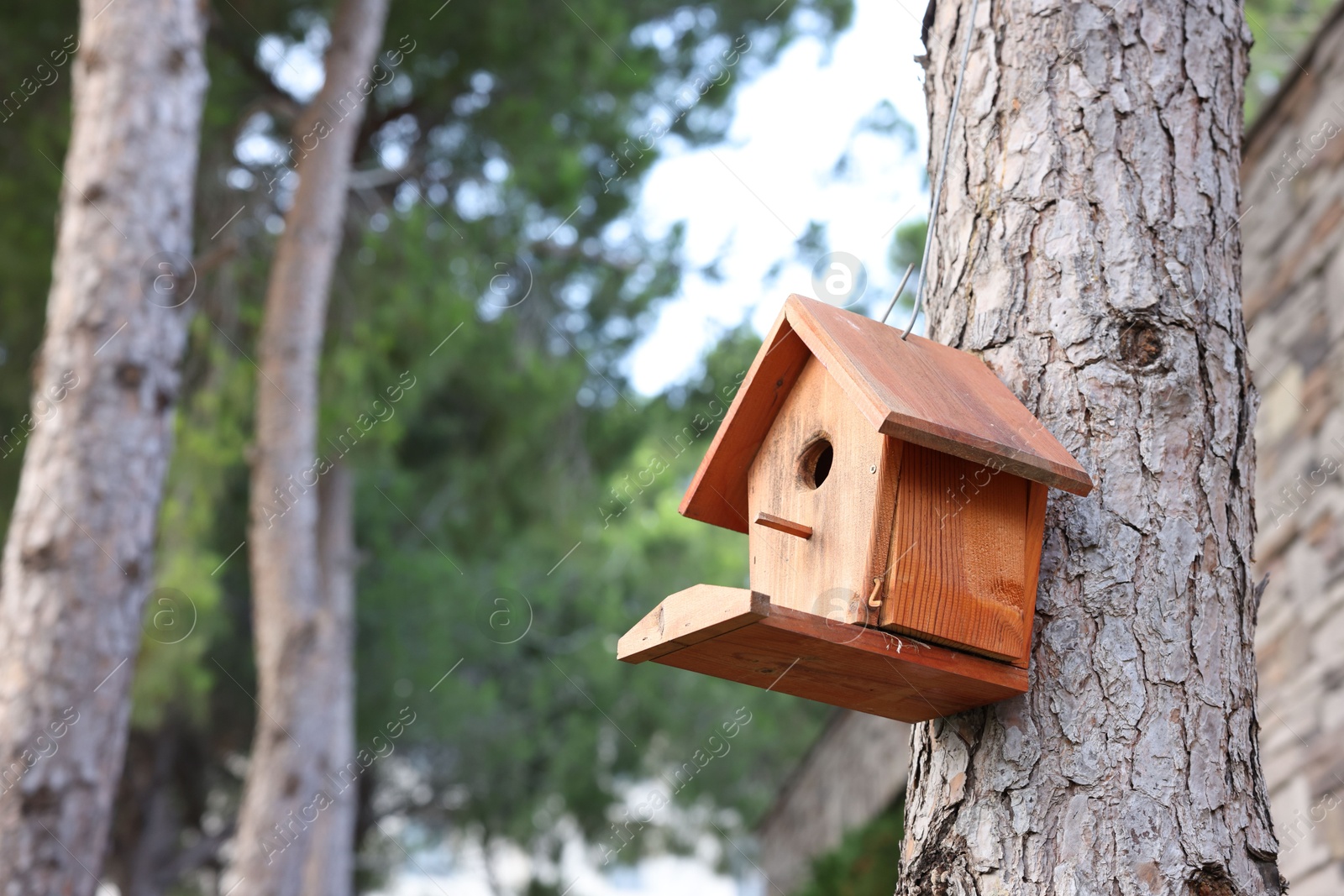 Photo of Beautiful wooden birdhouse hanging on tree trunk in park