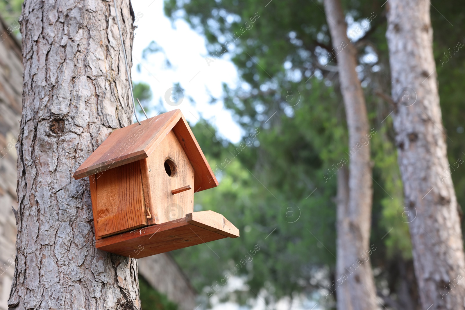 Photo of Beautiful wooden birdhouse hanging on tree trunk in park