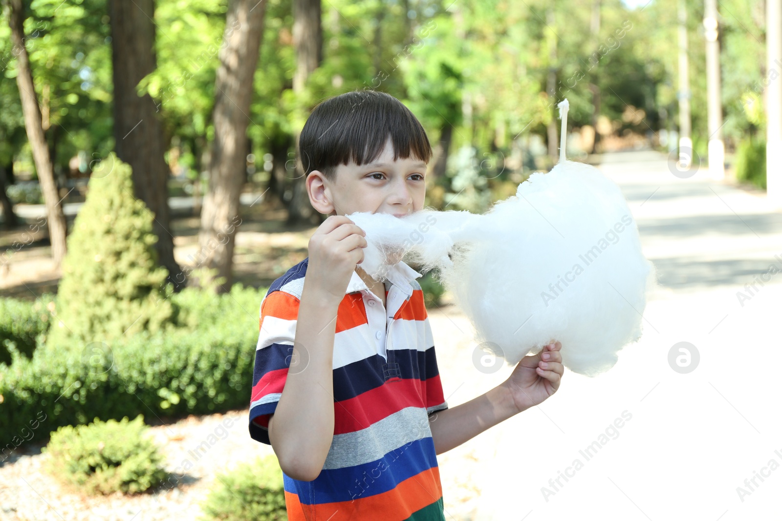 Photo of Portrait of little boy eating sweet cotton candy in park