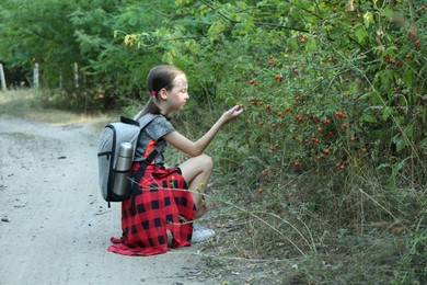 Photo of Little girl looking at shrub with berries outdoors