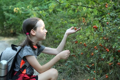 Photo of Little girl looking at shrub with berries outdoors