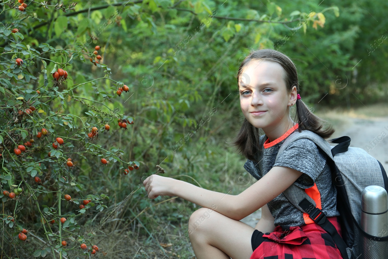 Photo of Portrait of little girl near shrub with berries outdoors