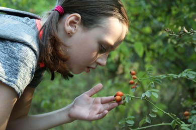 Little girl looking at shrub with berries outdoors