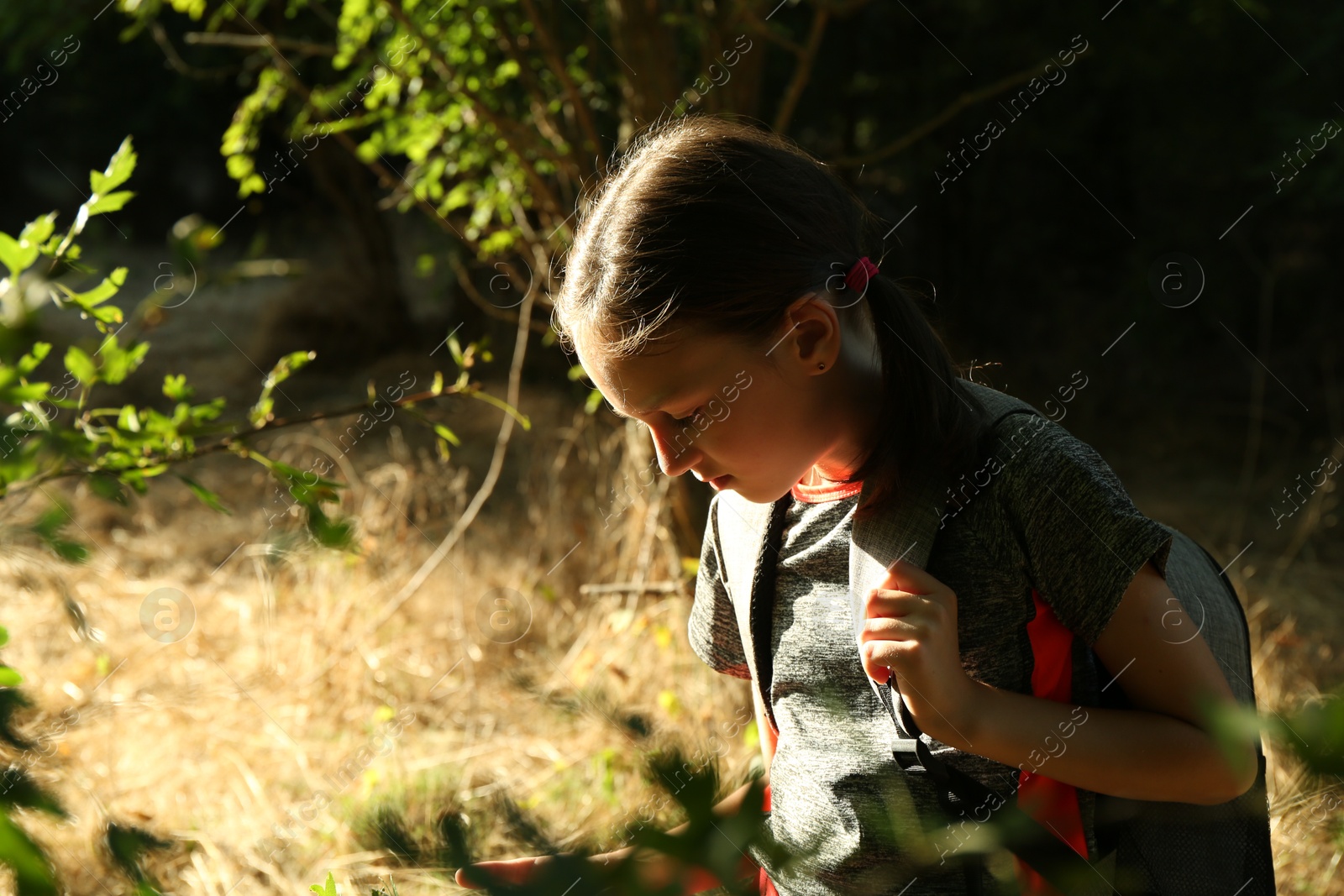 Photo of Little girl exploring shrub with green leaves outdoors