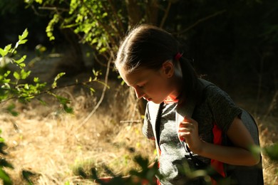 Photo of Little girl exploring shrub with green leaves outdoors