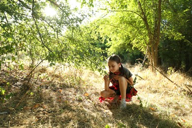 Photo of Little girl exploring shrub with green leaves outdoors on sunny day