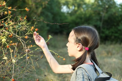 Photo of Little girl exploring shrub with berries outdoors