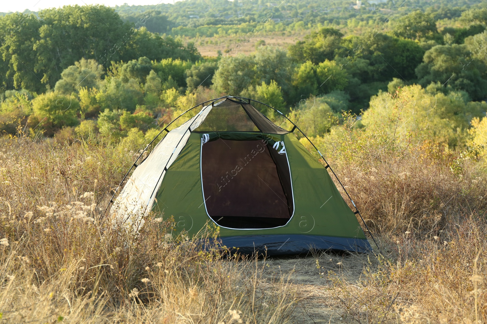 Photo of One camping tent among plants outdoors on sunny day