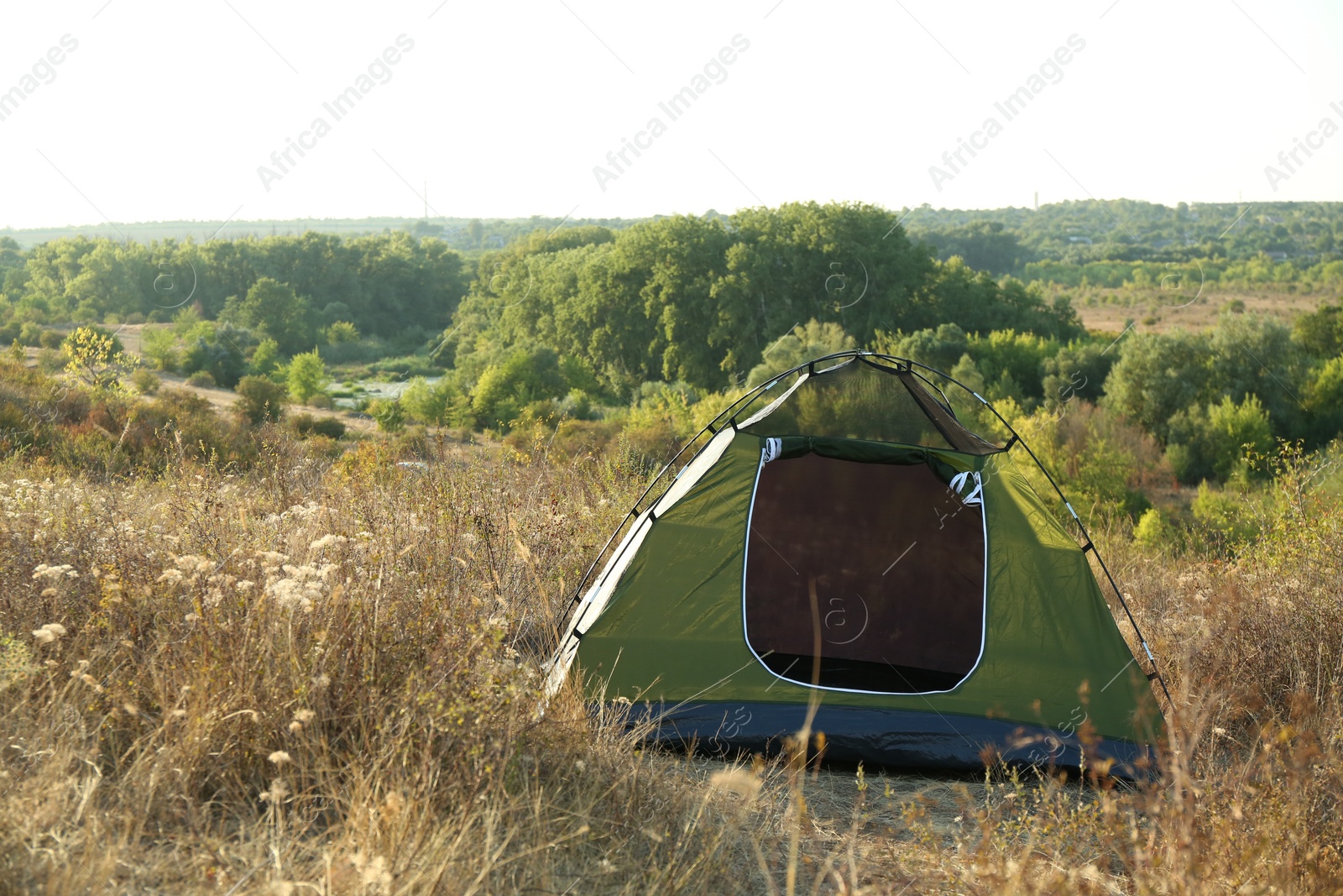 Photo of One camping tent among plants outdoors on sunny day. Space for text