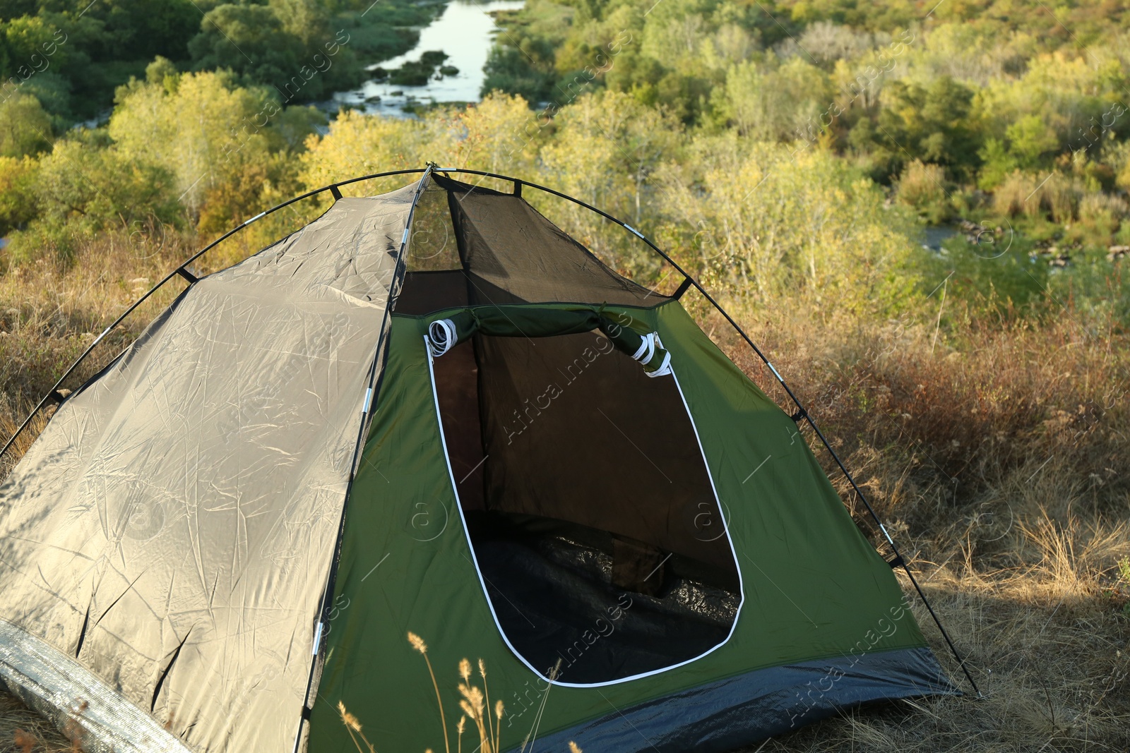 Photo of One camping tent among beautiful plants outdoors