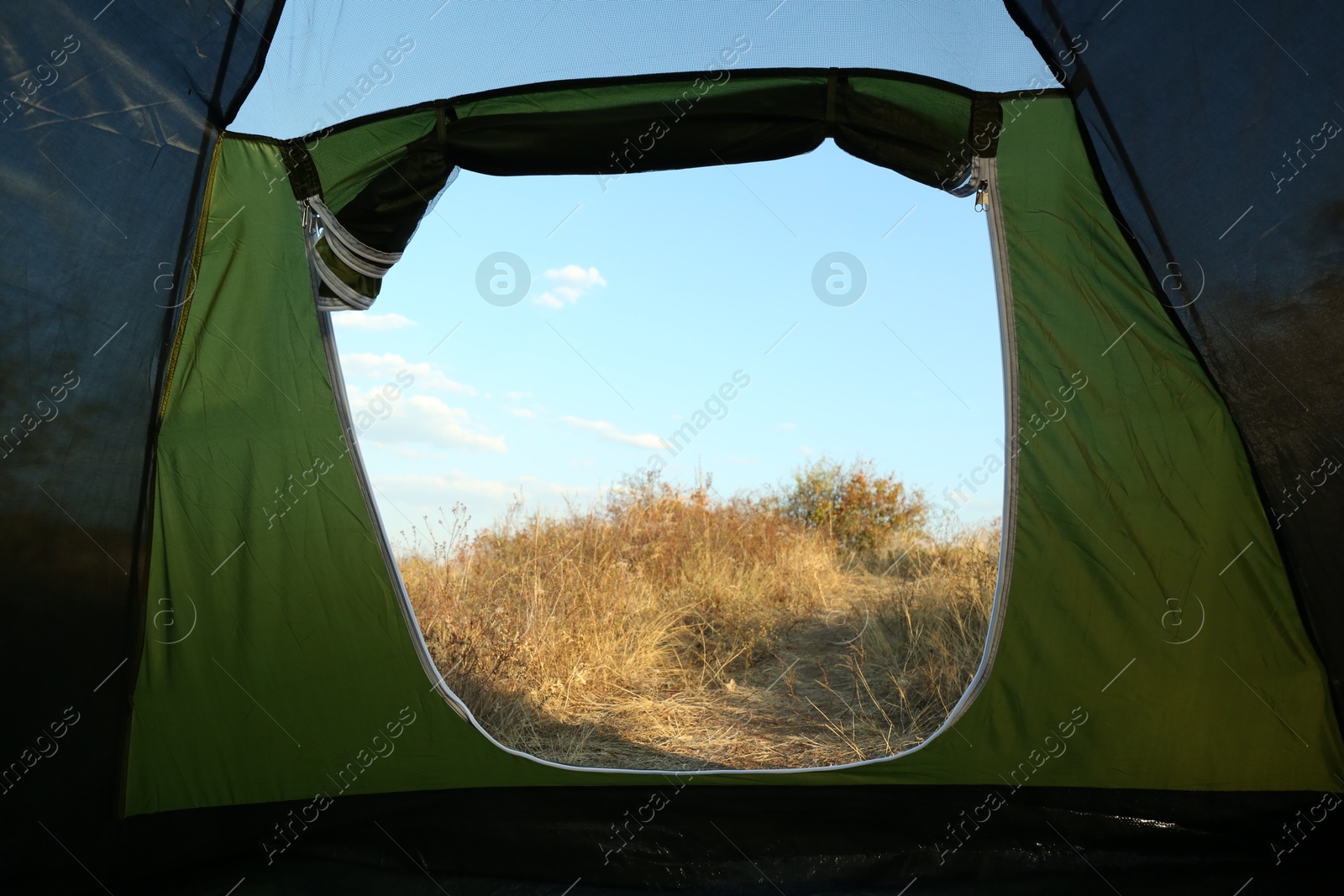 Photo of Beautiful blue sky and grass, view from camping tent