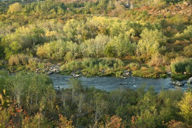 Photo of Beautiful lake and stones between trees outdoors