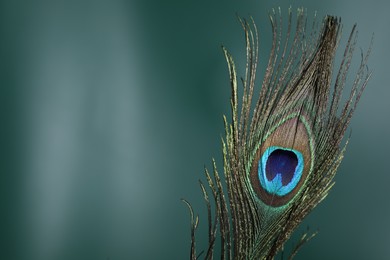 Beautiful peacock feather on dark background, closeup. Space for text