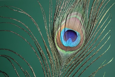 Photo of Beautiful peacock feather on teal background, closeup