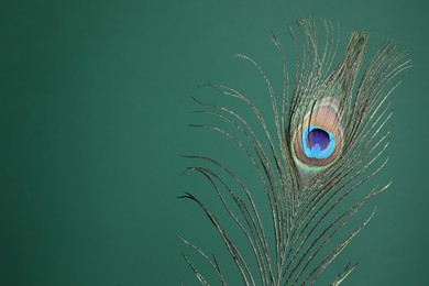 Photo of Beautiful peacock feather on teal background. Space for text