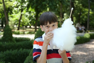 Photo of Portrait of little boy eating sweet cotton candy in park