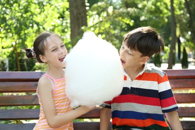 Photo of Little girl and boy with sweet cotton candy on wooden bench in park