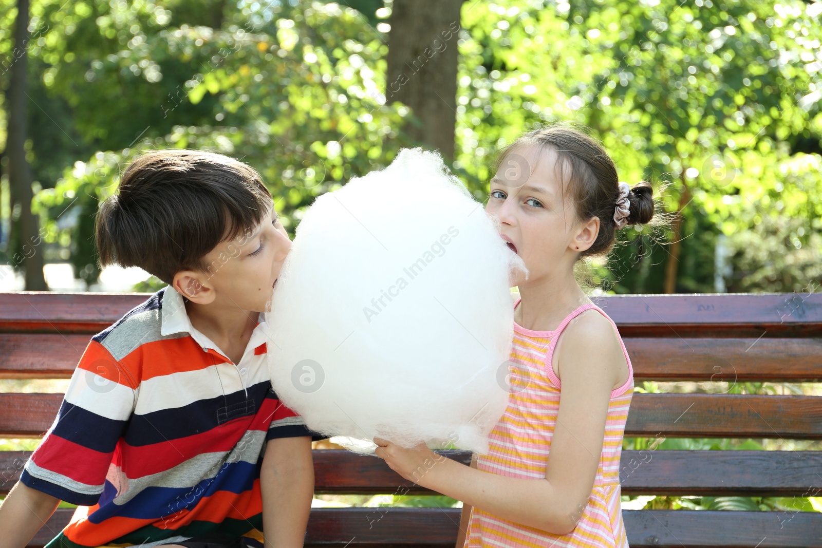 Photo of Little girl and boy with sweet cotton candy on wooden bench in park