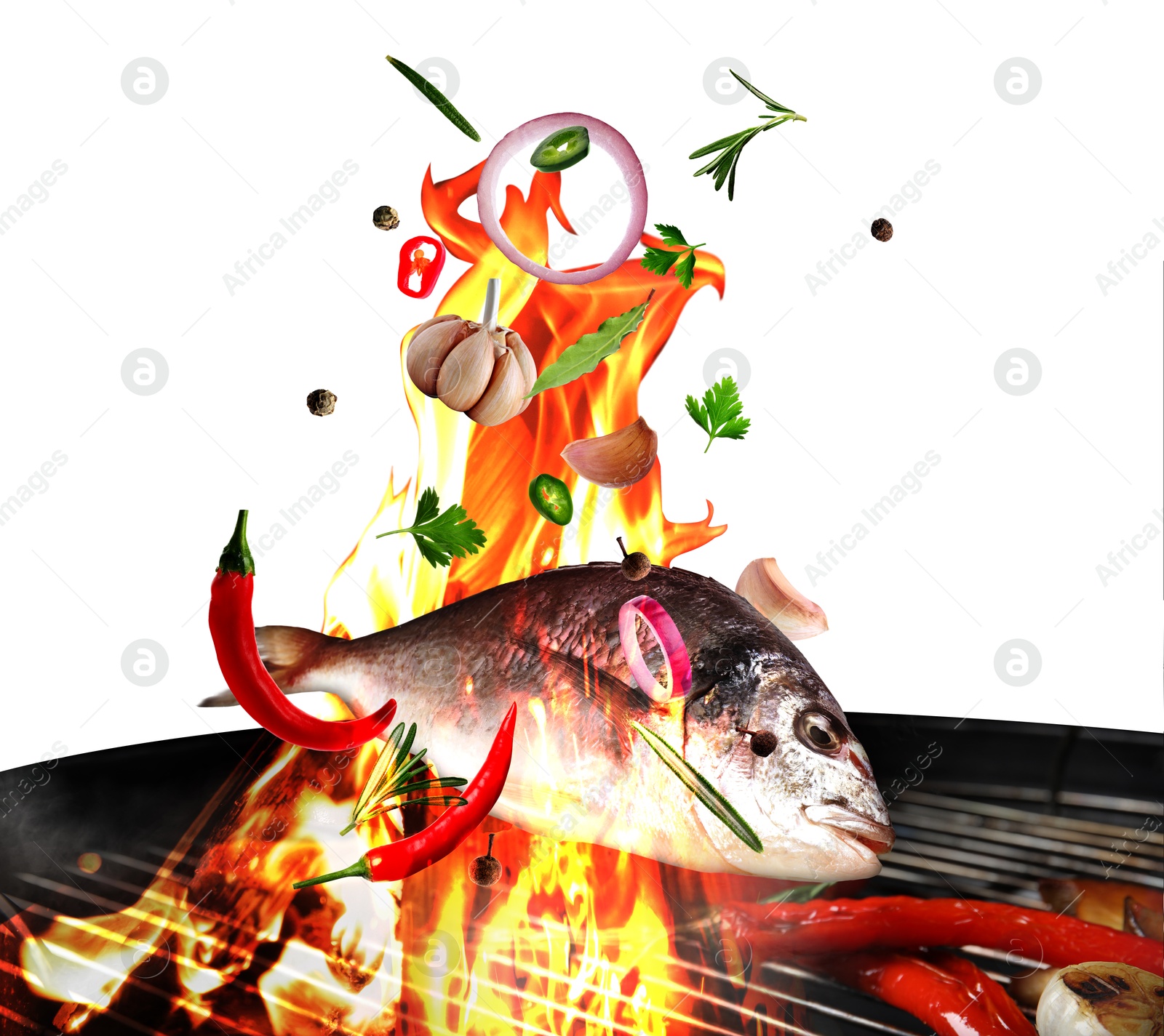 Image of Sea fish, herbs, spices and vegetables roasting against white background. Grilling food